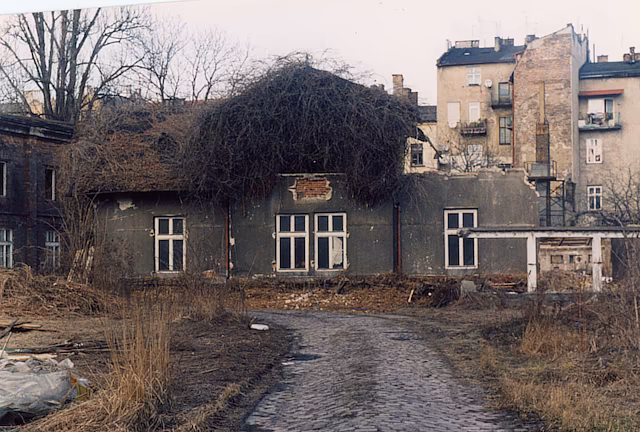 E. Freege, Lubicz street