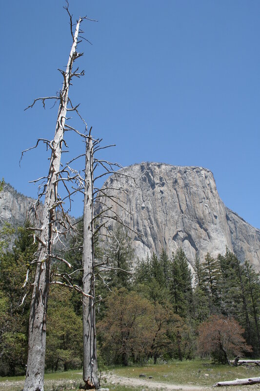 El Capitan