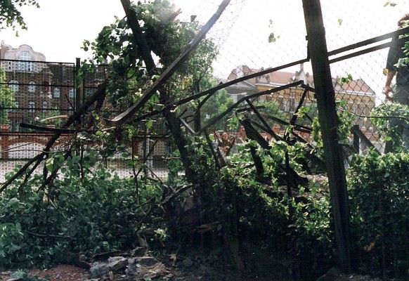 Yup, here are the parts of vanished tree