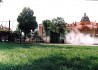 Ooops, one tree is gone! What went wrong?!