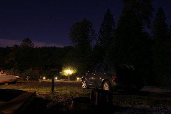 Żuczek by nite