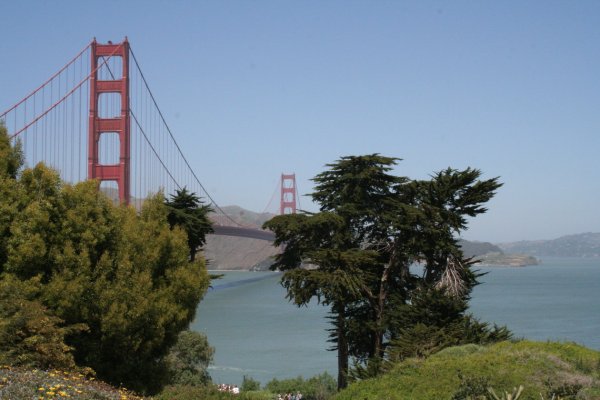 Cisco bridge