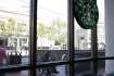 Początek dnia na kawce w Starbucks