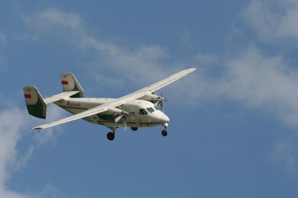 DV-1 SKYLARK