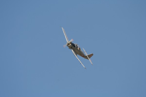 PZL-Mielec TS-8 Bies