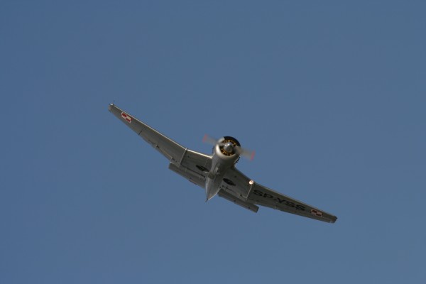 PZL-Mielec TS-8 Bies