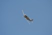 PZL-Mielec TS-8 Bies