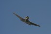 PZL-Mielec TS-8 Bies
