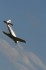 PZL-Mielec TS-8 Bies