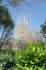 La Sagrada Família