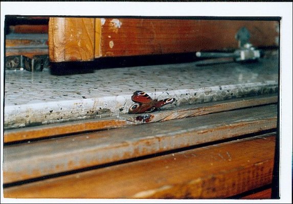 Traction butterfly